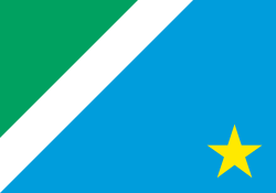 Bandeira: Mato Grosso do Sul